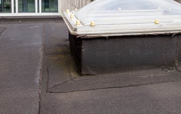 disadvantages of Princes Gate flat roofs