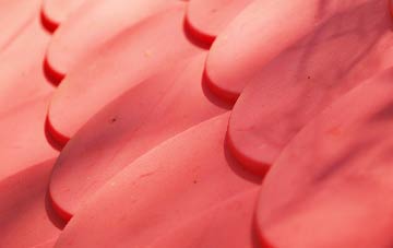 Princes Gate plastic roof costs