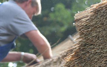 professional Princes Gate thatchers