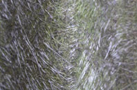 Princes Gate fibreglass roof work